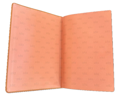 1611 King James Bible - Tan