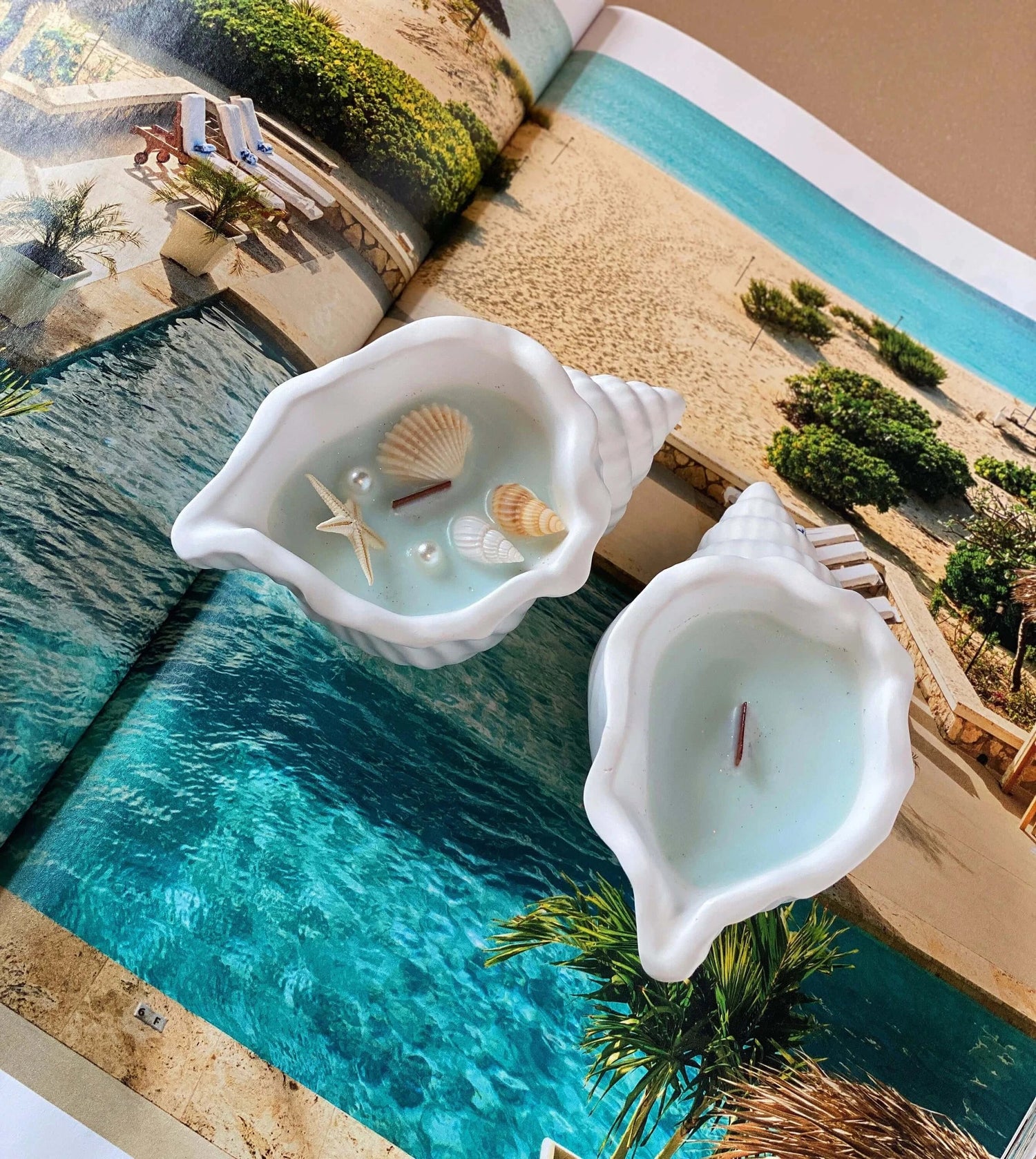 Zebulun Ocean’s Whisper Candle in Jesmonite Shell – Coastal Calm at Home